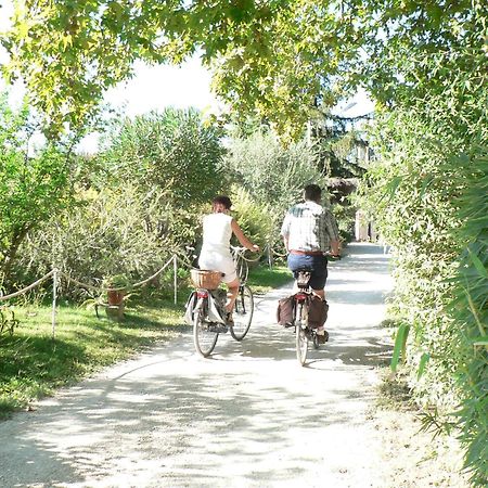 International Glamping Lago Di Bracciano Trevignano Romano Exterior foto