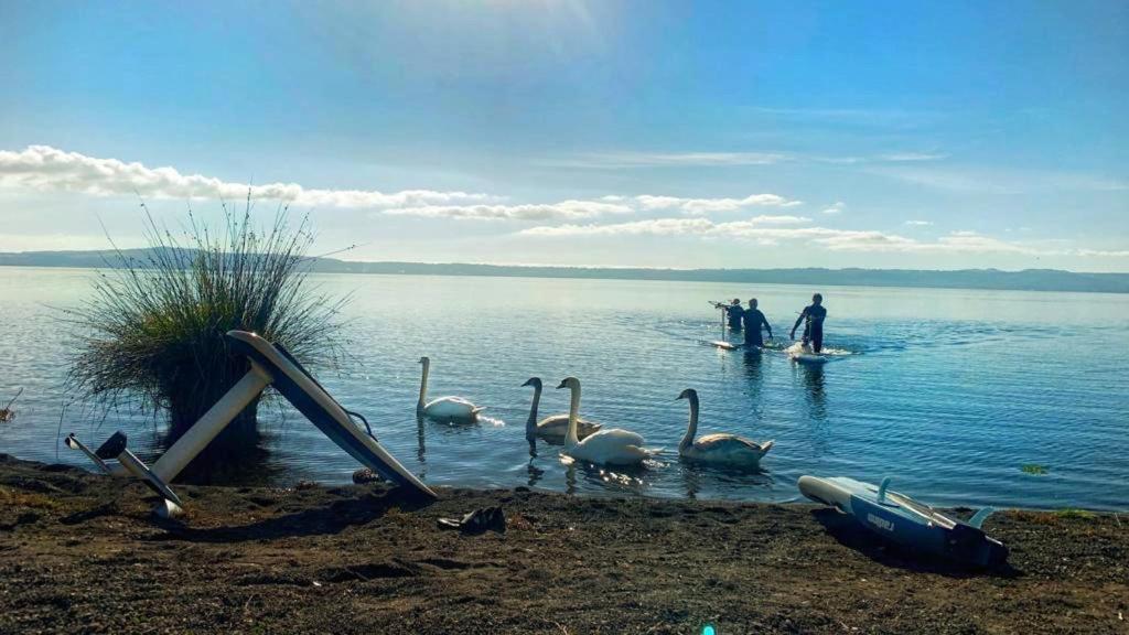 International Glamping Lago Di Bracciano Trevignano Romano Exterior foto